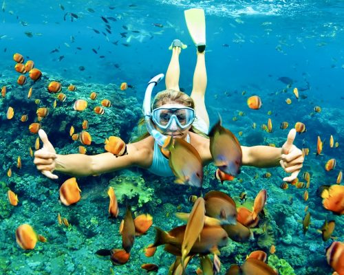 14) Snorkeling