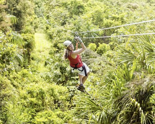 7) Zipline