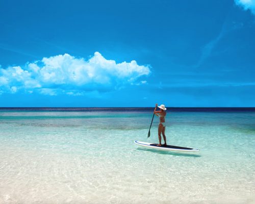 Paddle Board